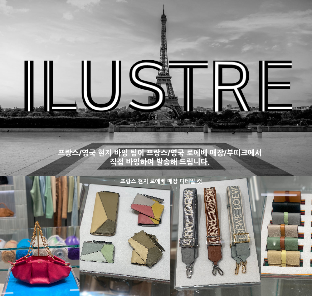 로에베 남성 머쉬룸 코인 카드홀더 클래식 카프스킨 다크 레드 C643Z40X49 7320 | ILUSTRE